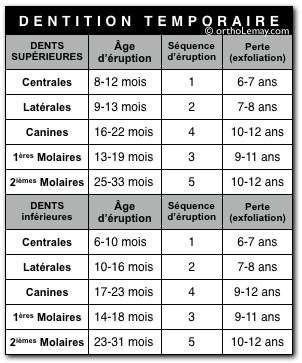 Tableau Éruption dents temporaires orthodontie sherbrooke